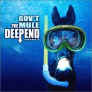 Gov't Mule download mp3 cd album